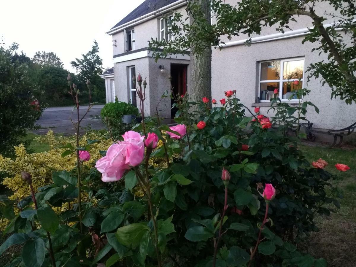 Lisieux House On Lough Neagh Bed & Breakfast Aghalee Екстериор снимка