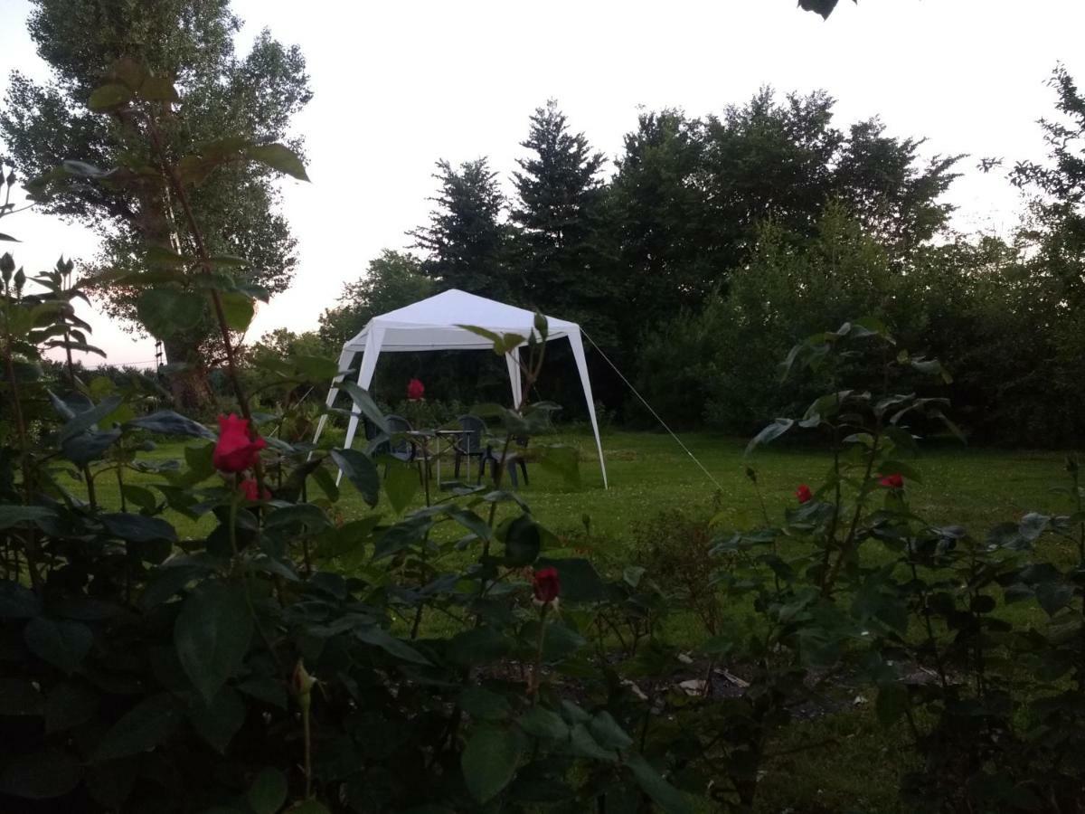 Lisieux House On Lough Neagh Bed & Breakfast Aghalee Екстериор снимка